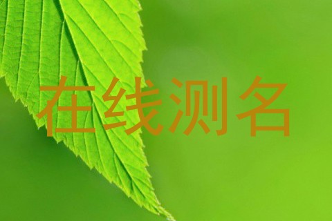 在线测名