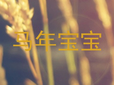 马年宝宝
