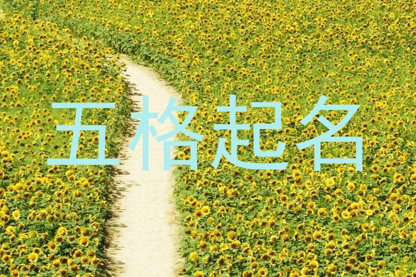 五格起名