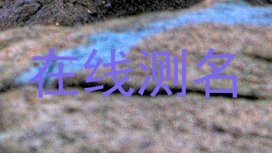 在线测名