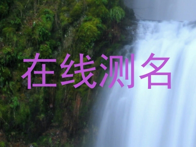 在线测名