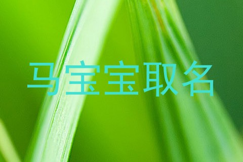 马宝宝取名