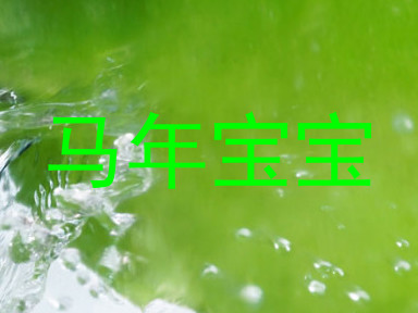 马年宝宝