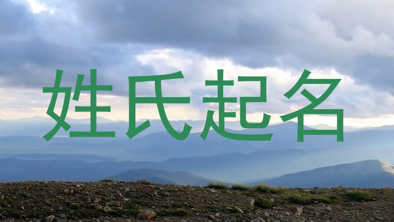 姓氏起名