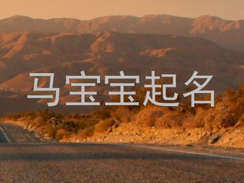 马宝宝起名