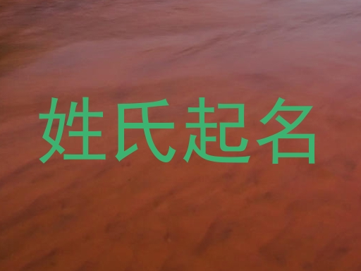 姓氏起名