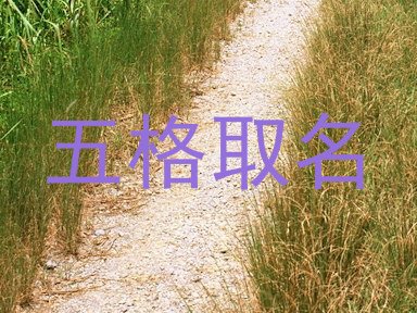 五格取名