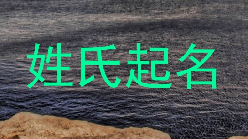 姓氏起名