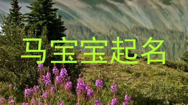 马宝宝起名