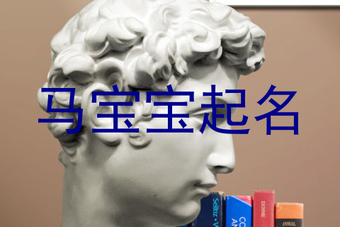 马宝宝起名