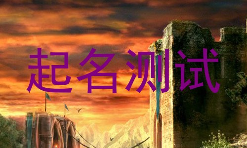 起名测试