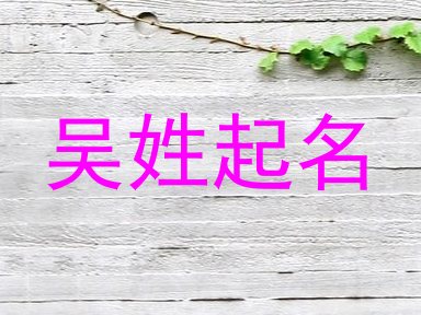 吴姓起名