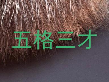 五格三才