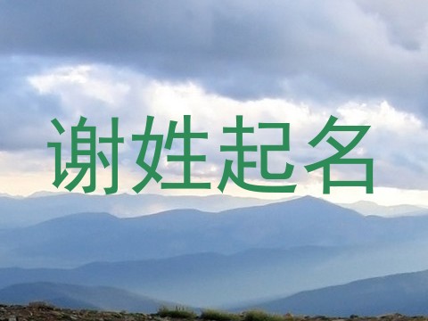 谢姓起名