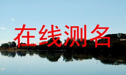 在线测名