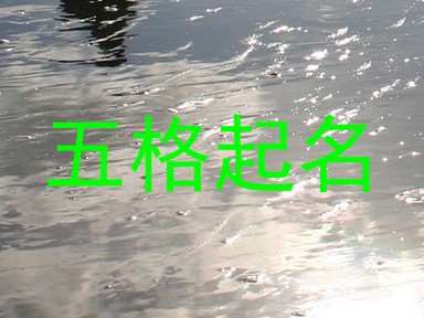 五格起名