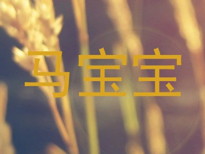 马宝宝
