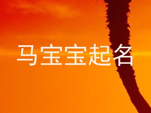 马宝宝