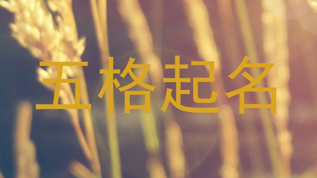 五格起名