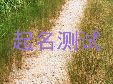 起名测试