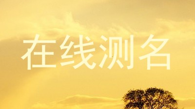 在线测名