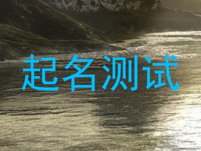 起名测试
