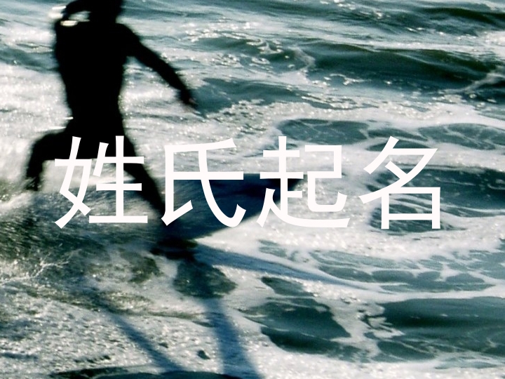 郑姓女孩名字