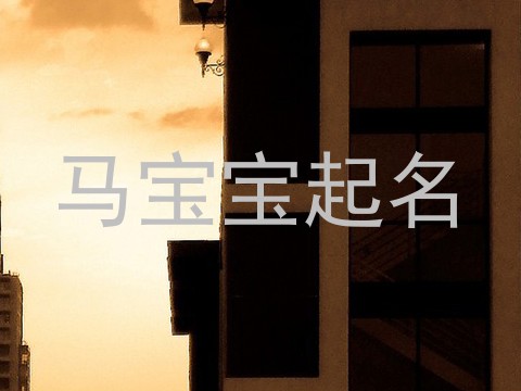 马宝宝起名