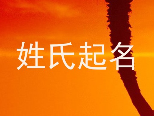 林姓女孩名字