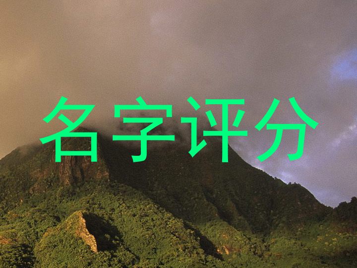 杨姓起名