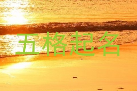 五格起名