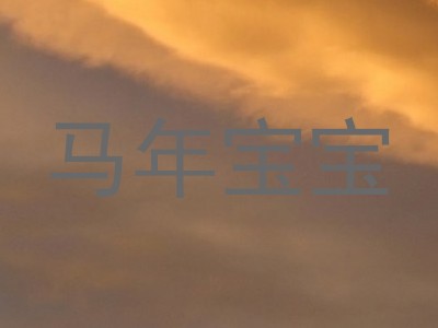 马年宝宝