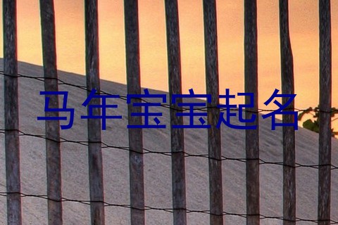 马年宝宝起名