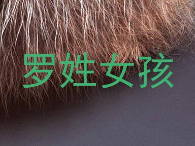 罗姓女孩