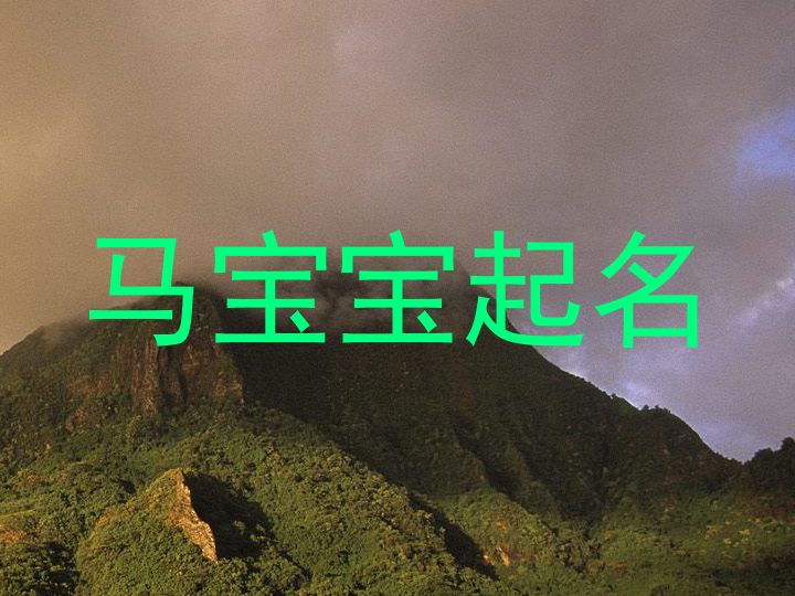马宝宝起名