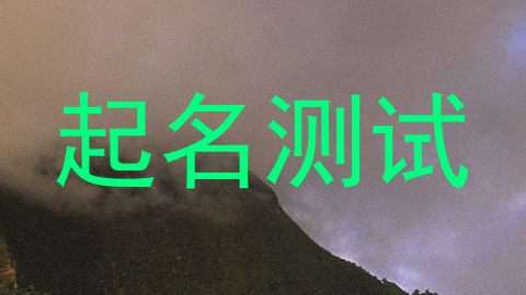起名测试