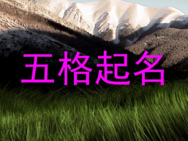 五格起名