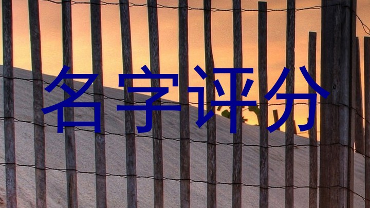 名字评分