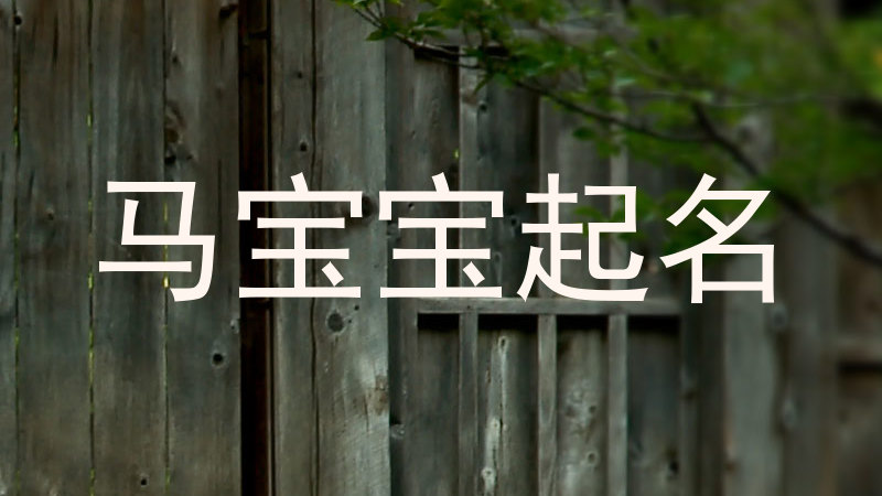 马宝宝起名