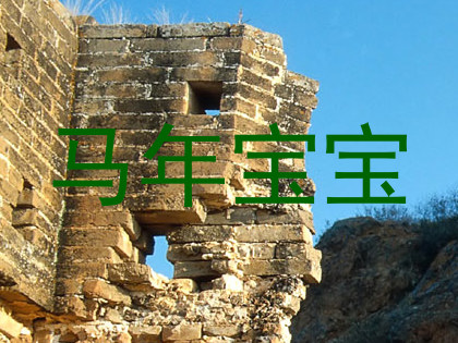 马年宝宝