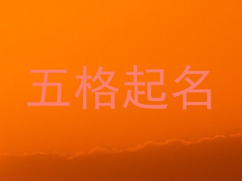 五格起名