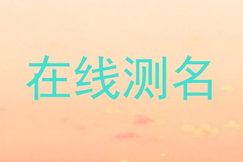 在线测名