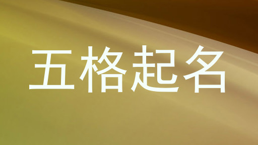 五格起名