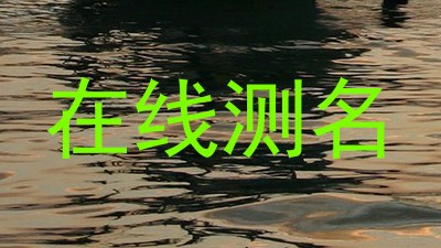 在线测名