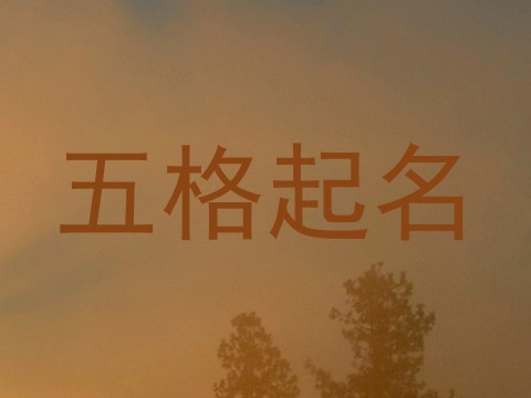 五格起名
