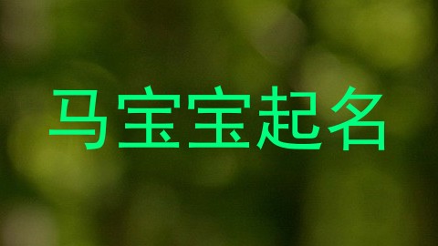 马宝宝起名