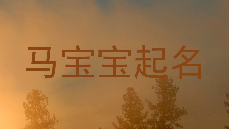 马宝宝