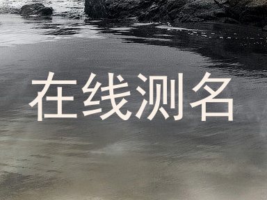 在线测名