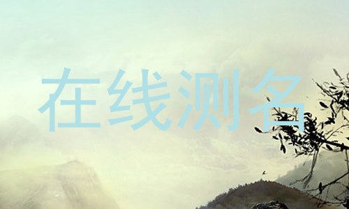 在线测名