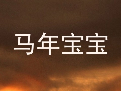 马年宝宝